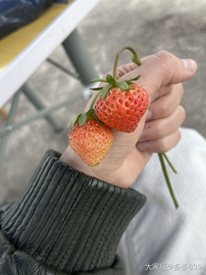 新鲜每一天🍓_水果