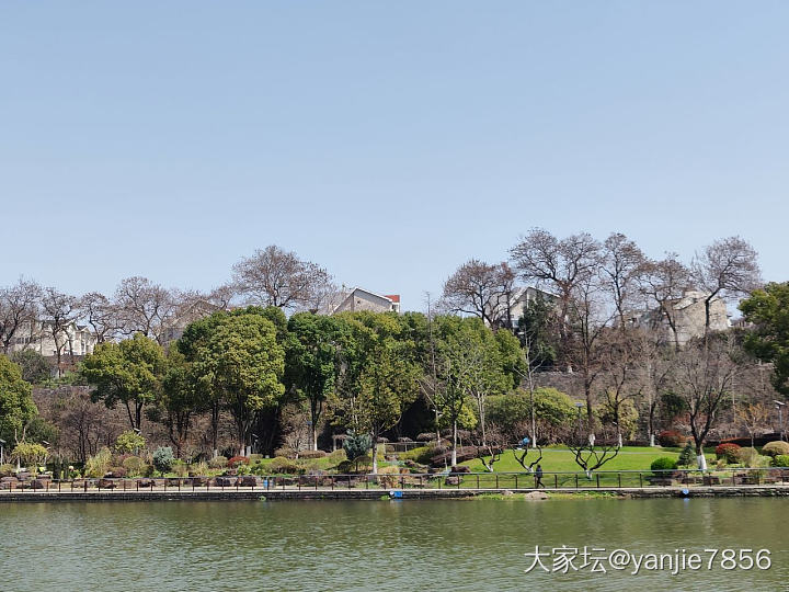 春花烂漫

还遇到了特别乖的小猫咪_植物