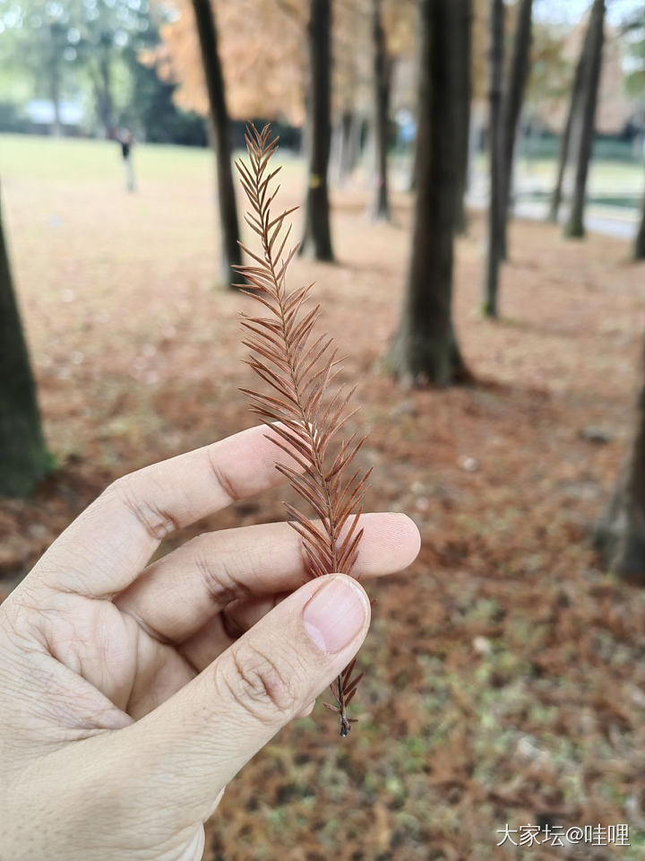 晒晒好看图片 聊聊拍照技巧🤩_摄影闲聊