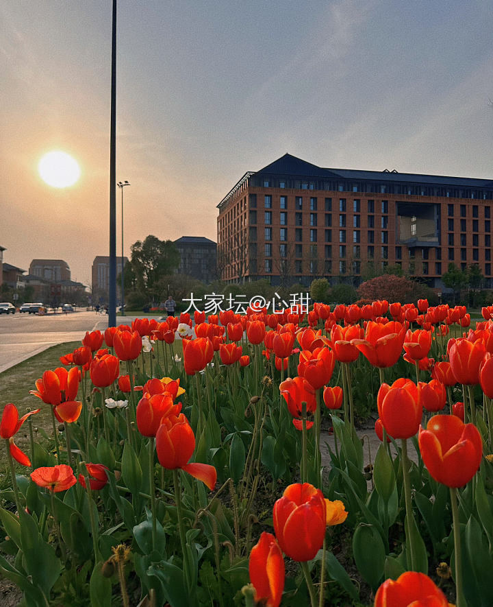 春天，我在学校逛花园_旅游