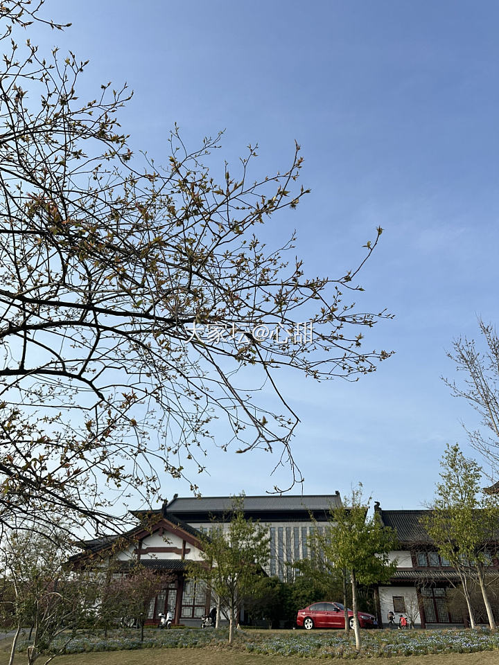 春天，我在学校逛花园_旅游