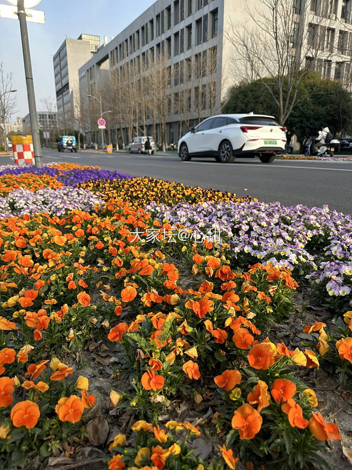 春天，我在学校逛花园_旅游