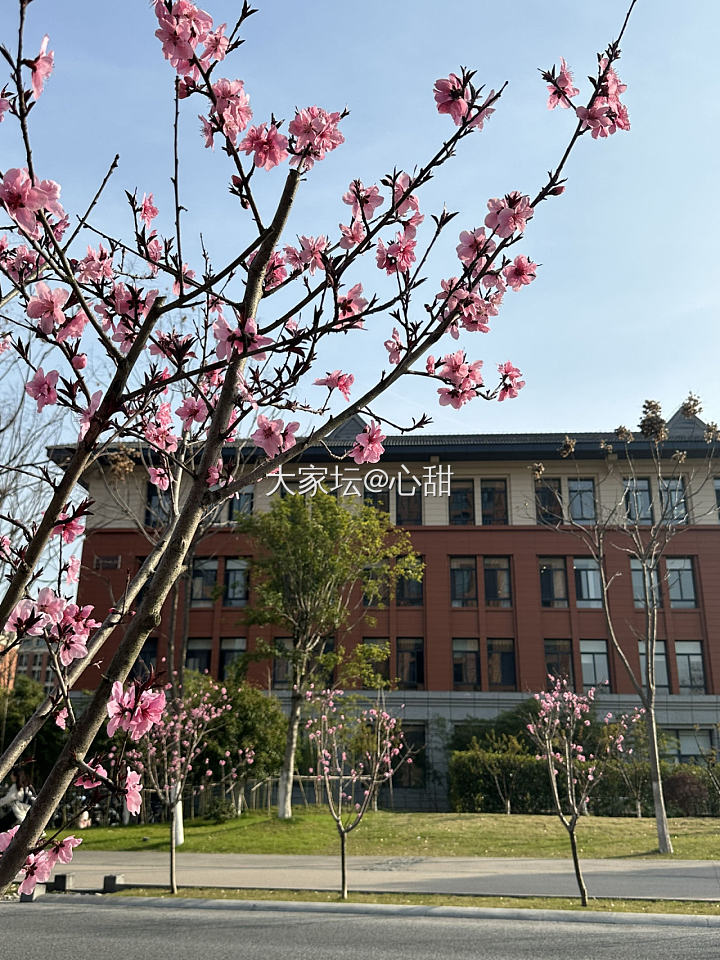 春天，我在学校逛花园_旅游