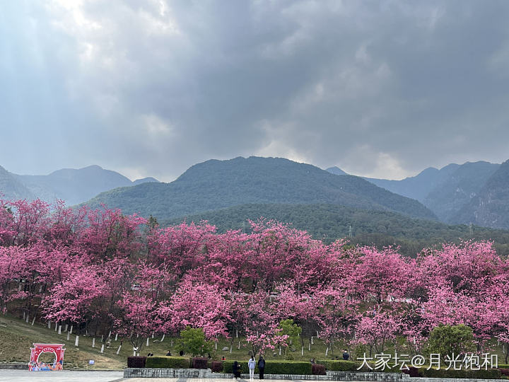 当你的学校是著名景区_旅游