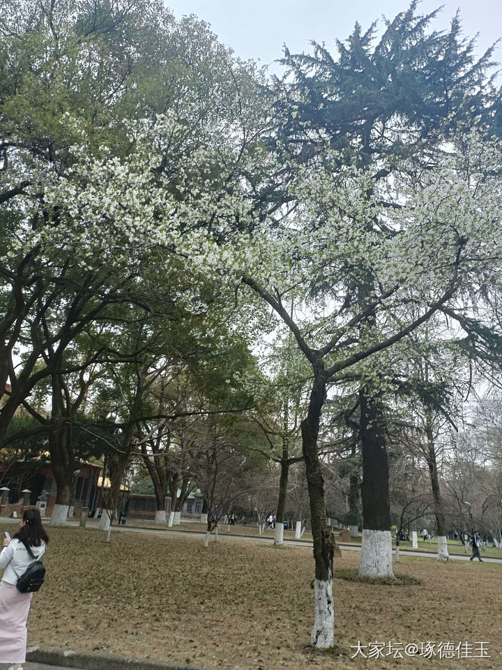 当你的学校是著名景区_旅游