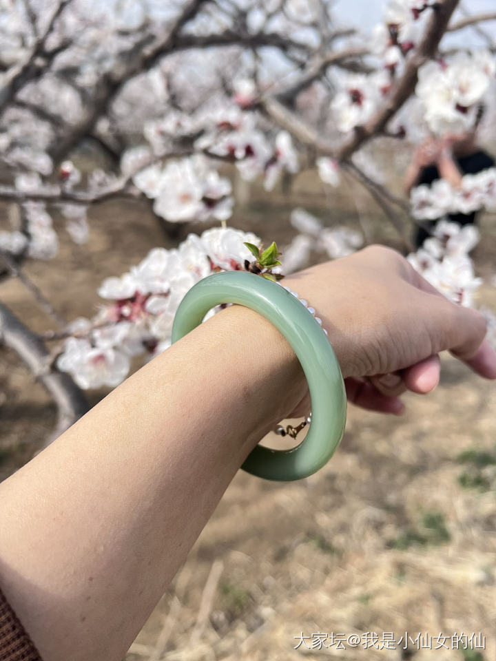 宋式美学_手镯和田玉