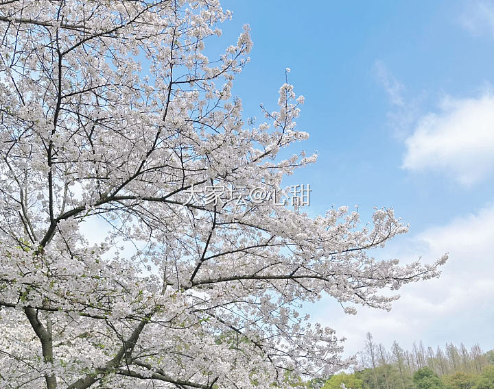 请假去逛公园，不上班就是最好的疗养_旅游