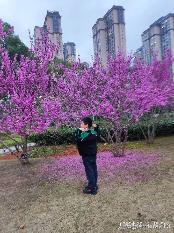 可爱鬼 请看花_花