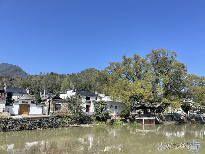 20240329下午虹关村_旅游