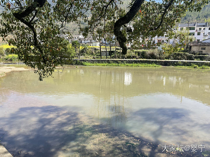 20240329下午虹关村_旅游