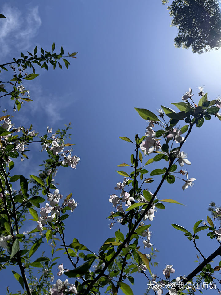 30°C，晒得脚面疼_花