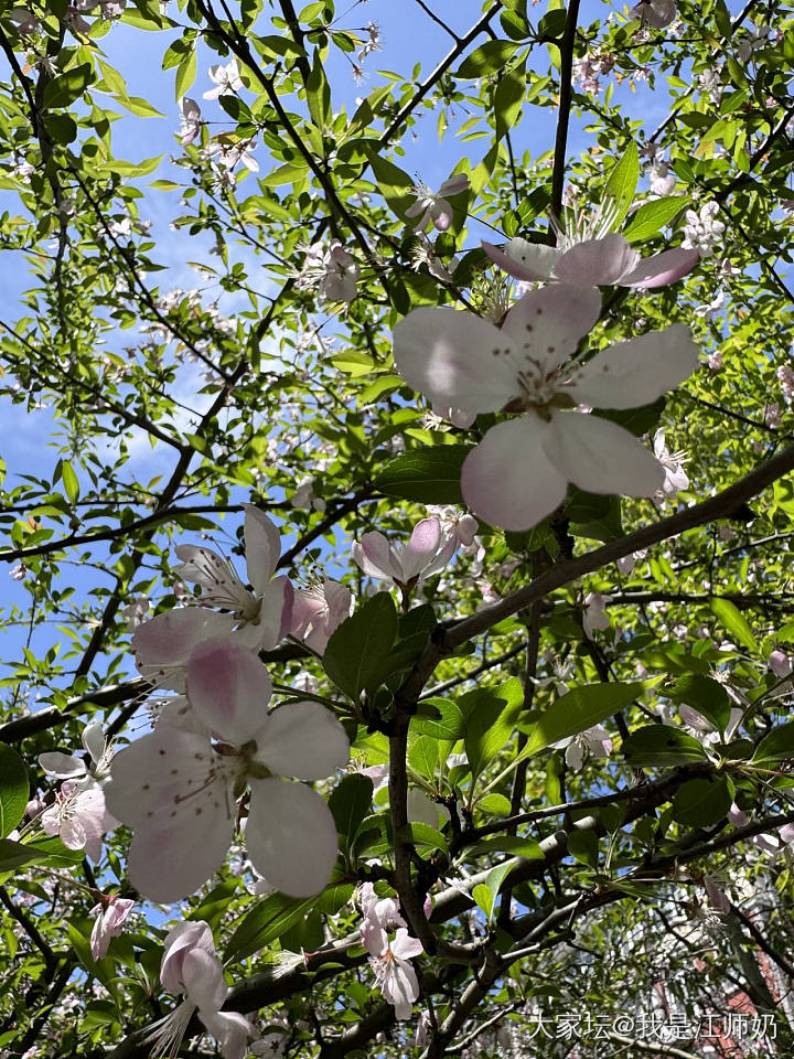 30°C，晒得脚面疼_花