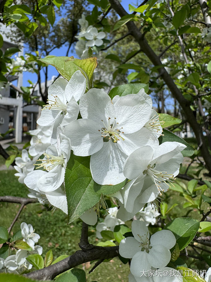 30°C，晒得脚面疼_花