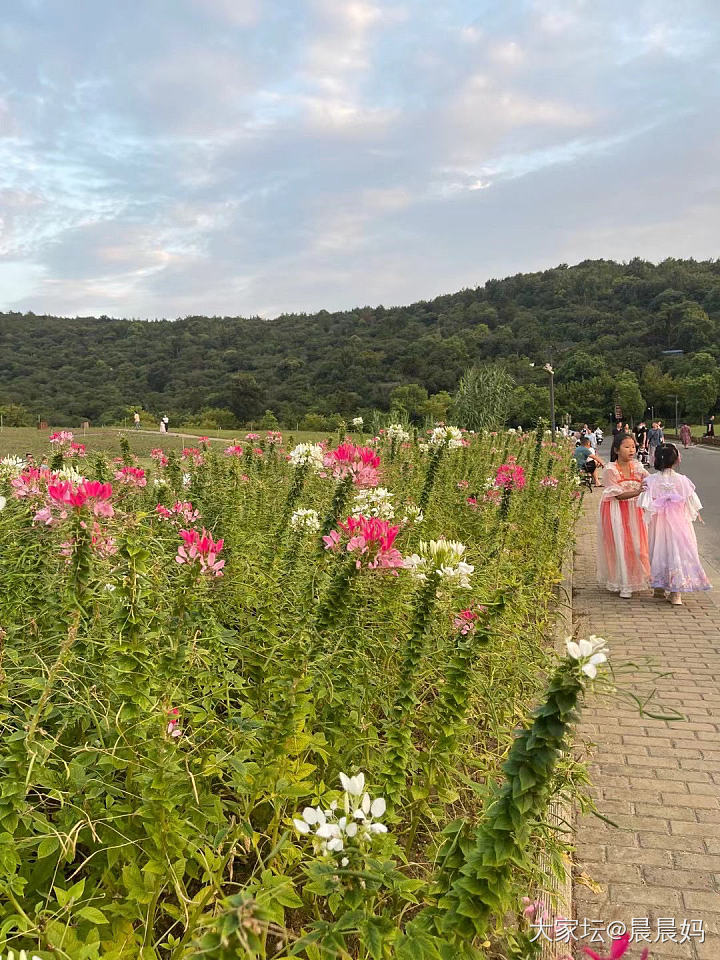 无锡拈花湾和踏青农庄_旅游