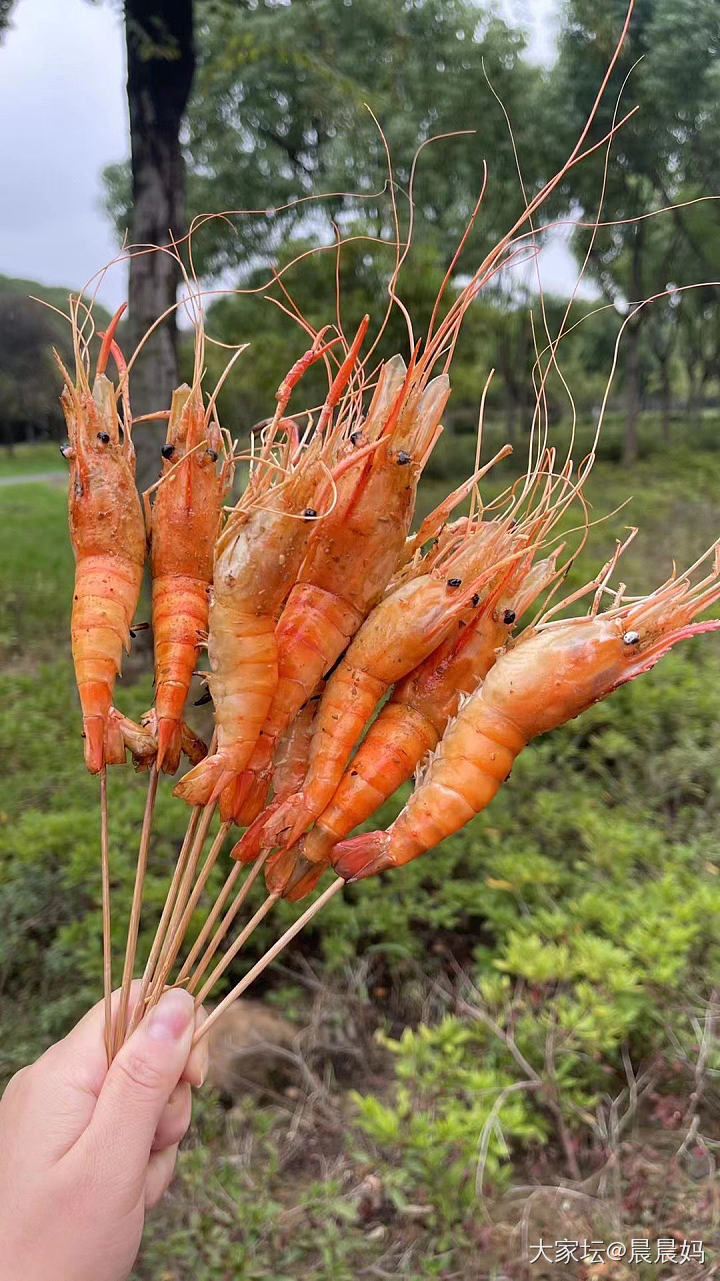 无锡拈花湾和踏青农庄_旅游