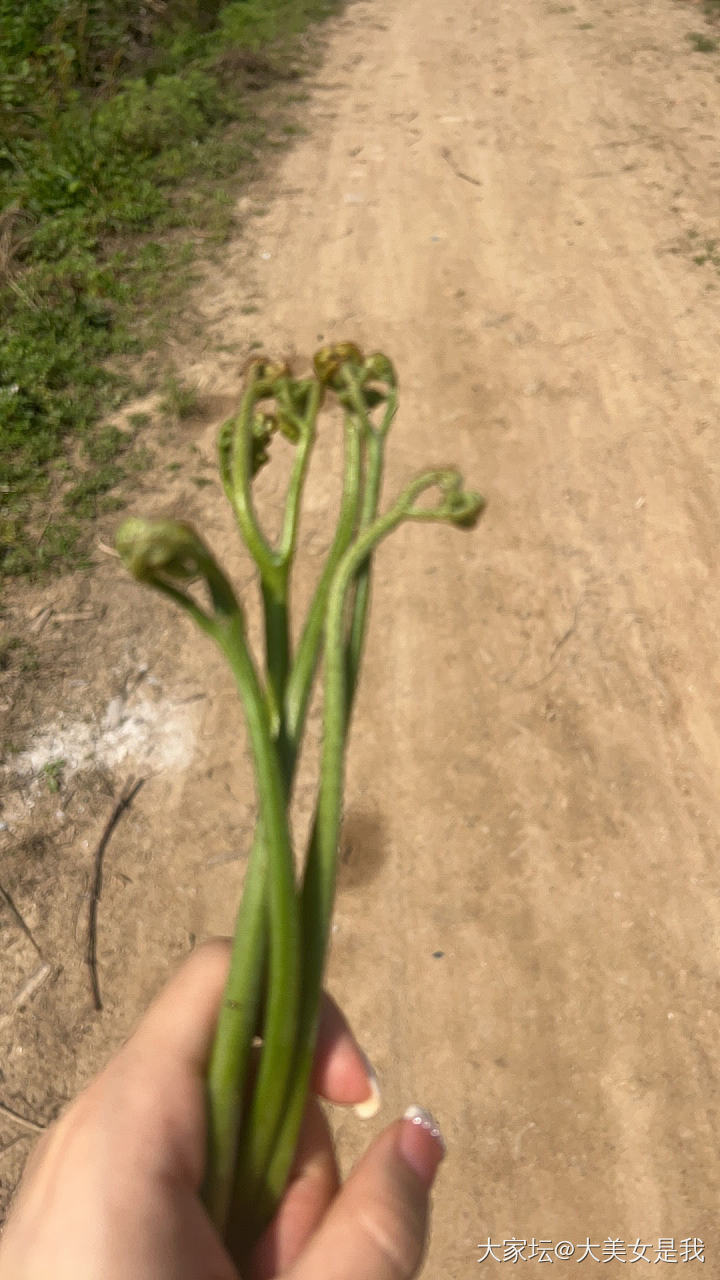 两个小时的劳动成果～😄_食材闲聊