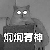 谁家有这样的喵星人_猫