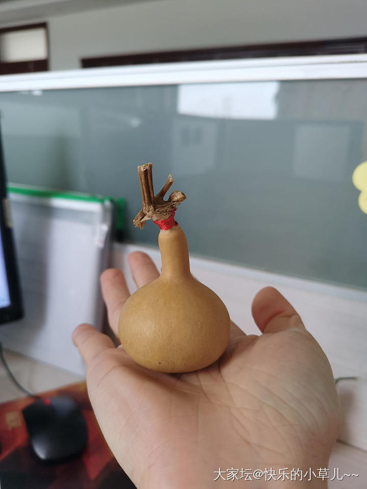 葫芦_葫芦