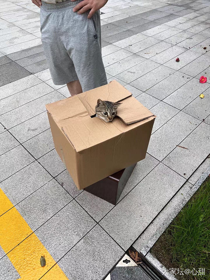 台湾地震，杭州震感_闲聊