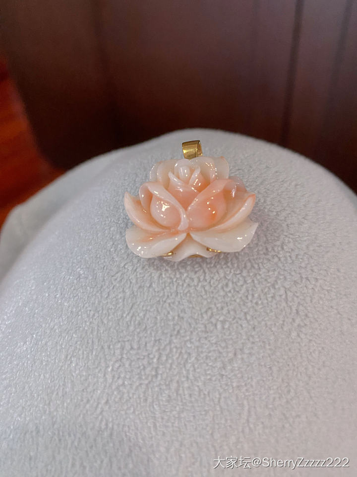留了超过十年的王同学_珊瑚
