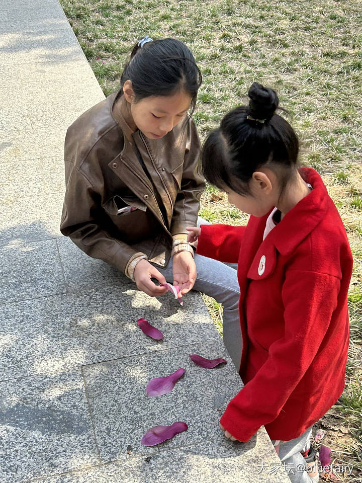 坛友出行 装备齐全_钻石金