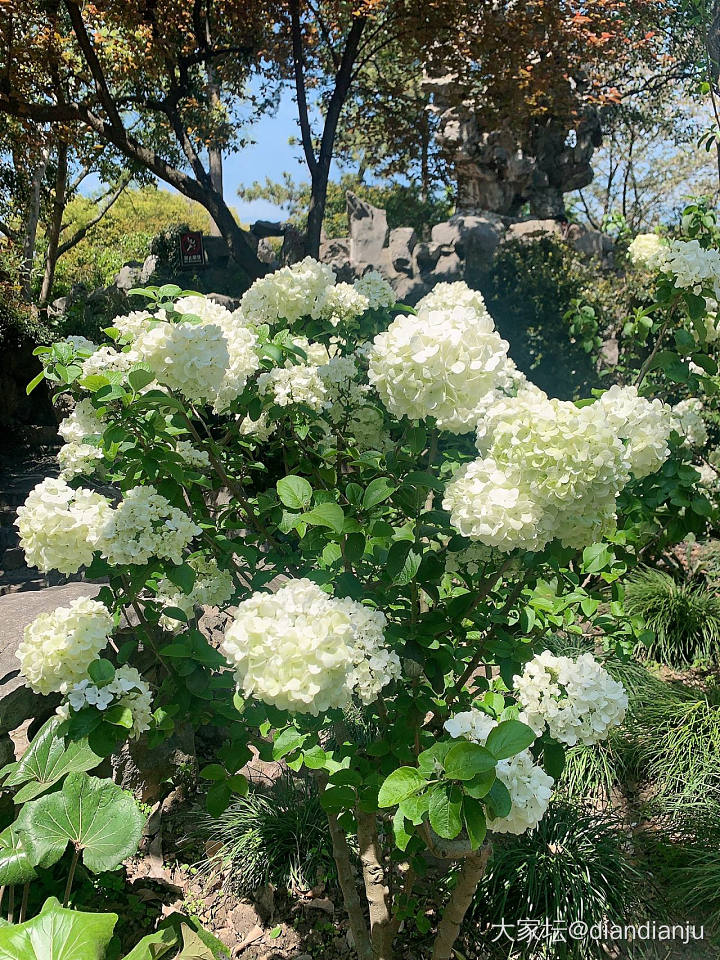 赏花，且把春光留住～_花