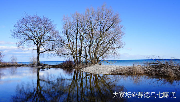 骑单车踏青，日落后才舍得回家_景色