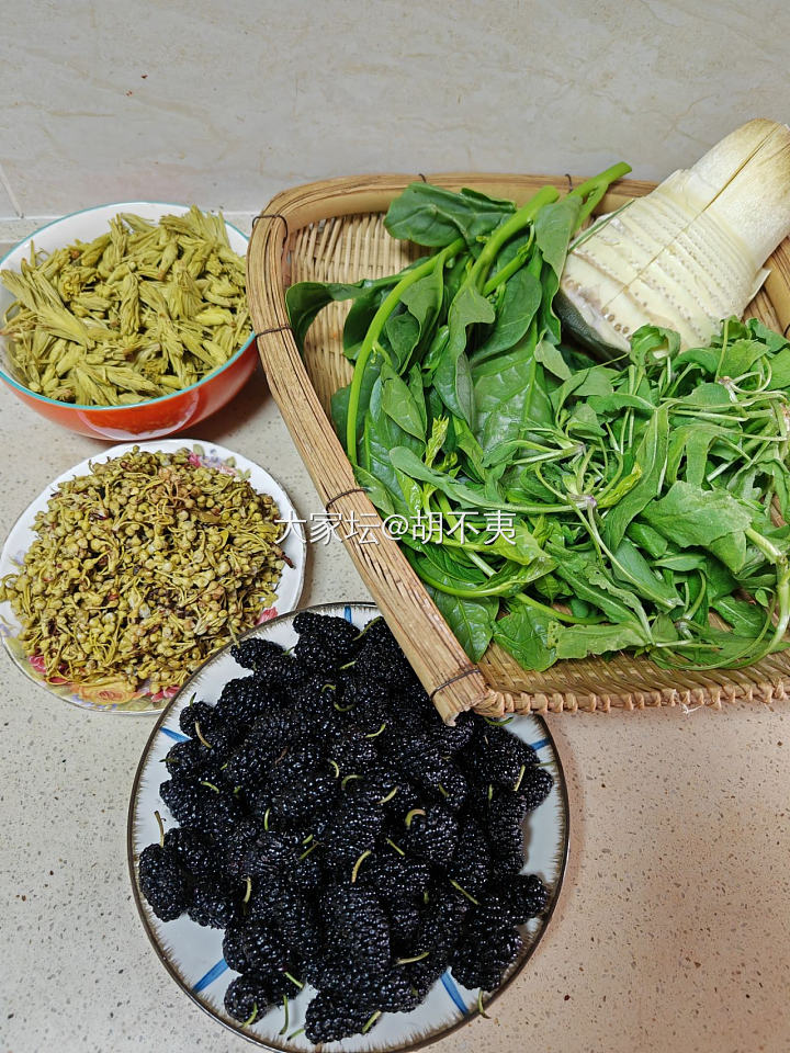 春吃野花野菜_美食