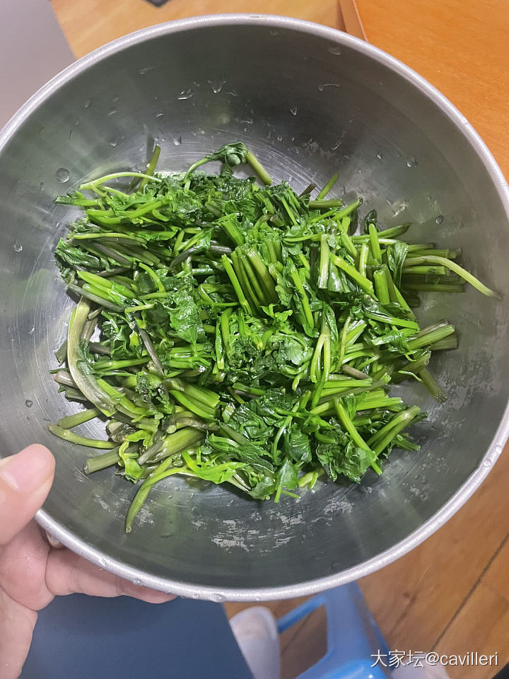 春吃野花野菜_美食