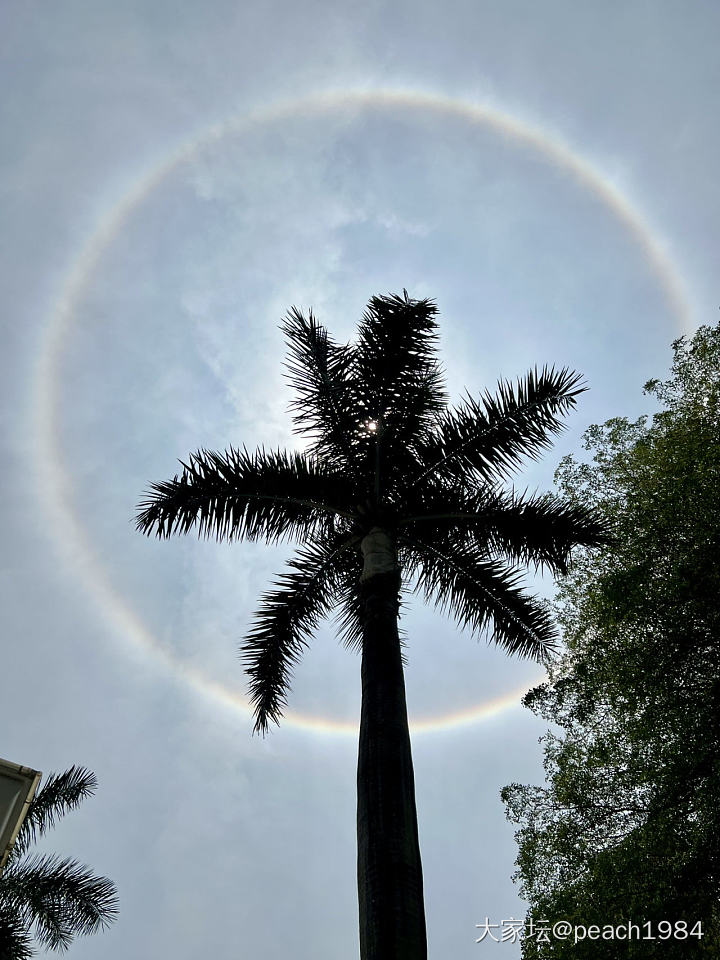 今天的圆彩虹🌈你们看到了吗？_闲聊