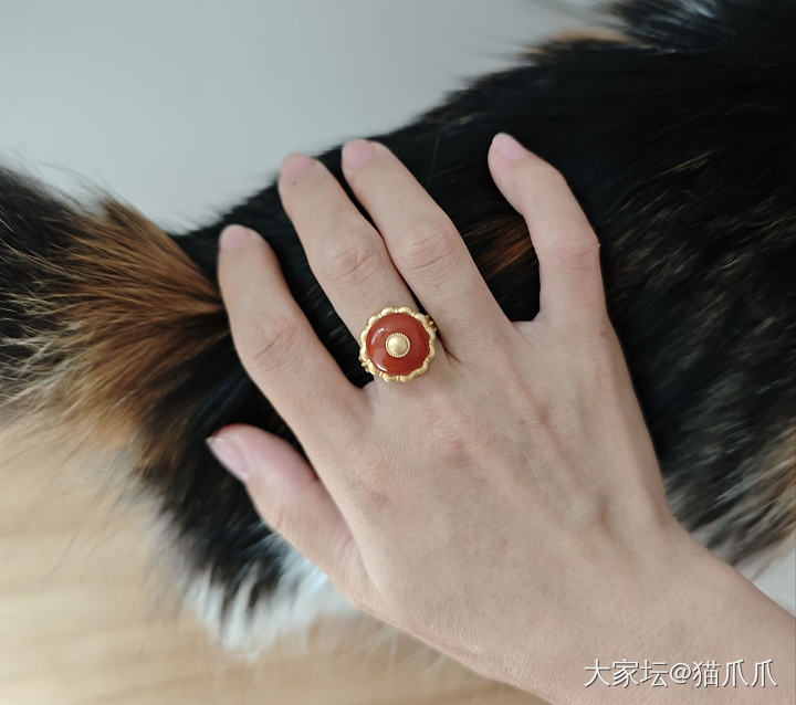 领养的女儿看上我新戒指了_戒指南红