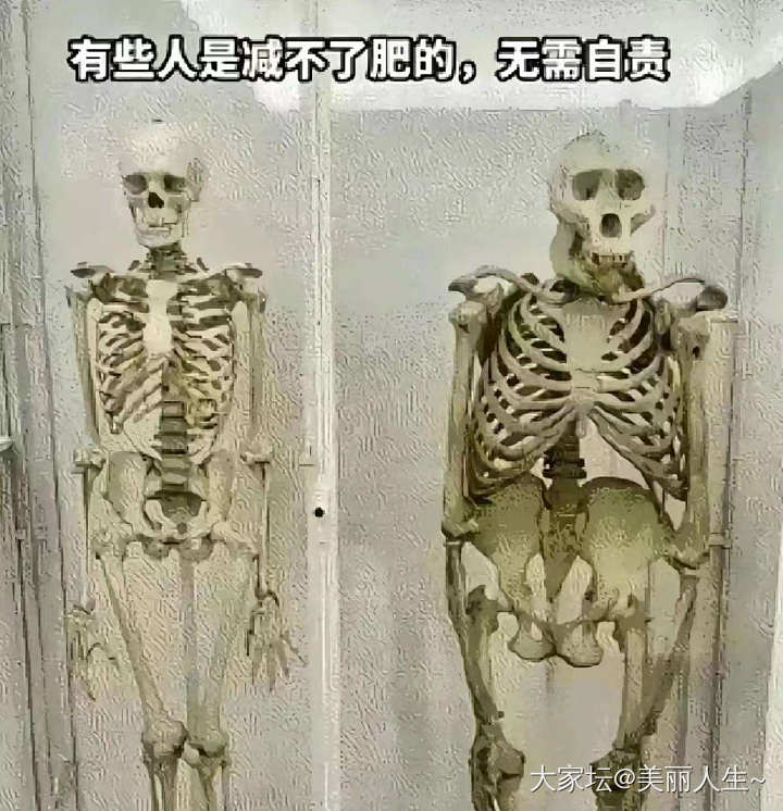 解答如何寄金给校长_金