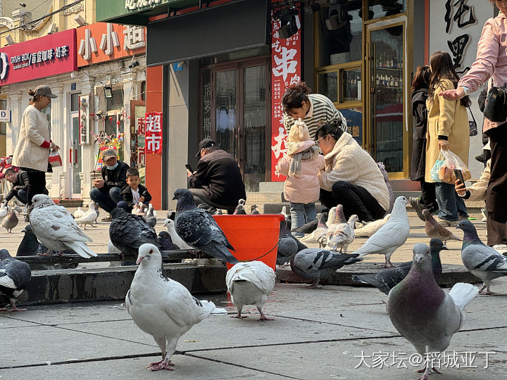 哈市瞎溜达_旅游生活