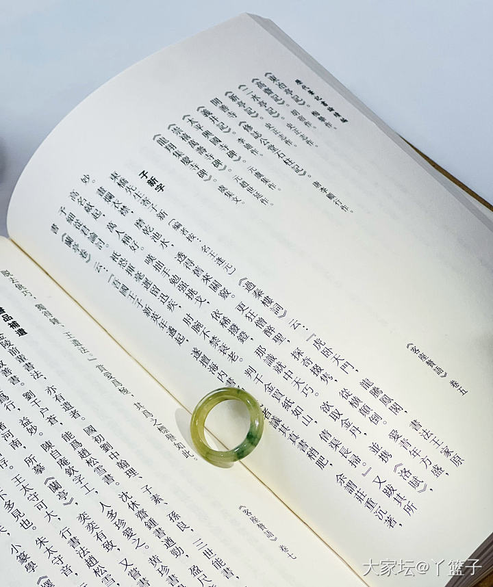 🍋嘴嘴的和田#慢茶•绿柳才黄半未匀_和田玉翡翠