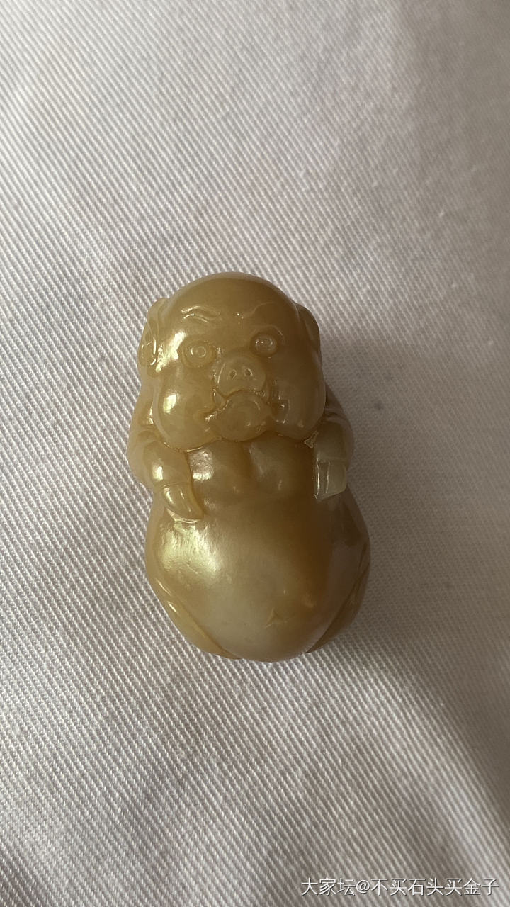 同一只猪_和田玉