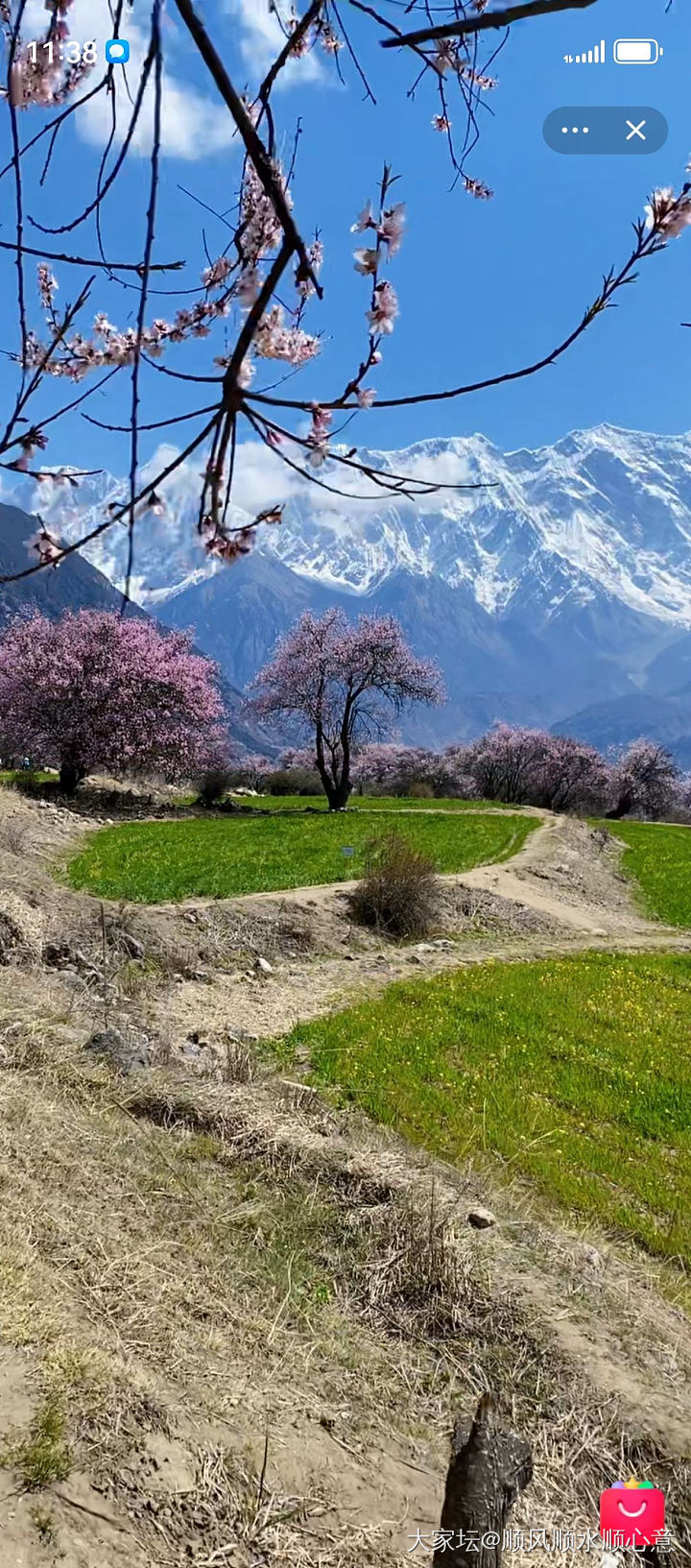 真漂亮啊_旅游