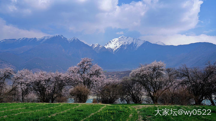 真漂亮啊_旅游