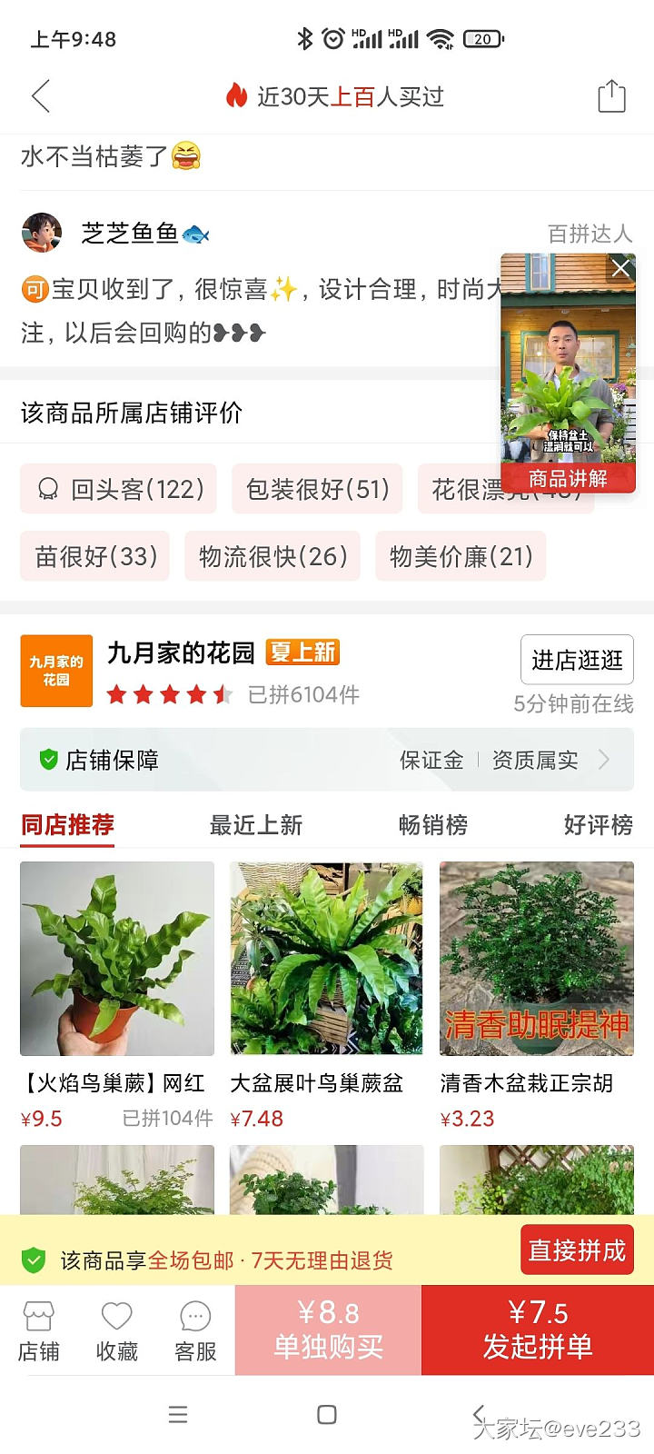 给大家推荐个绿植_植物