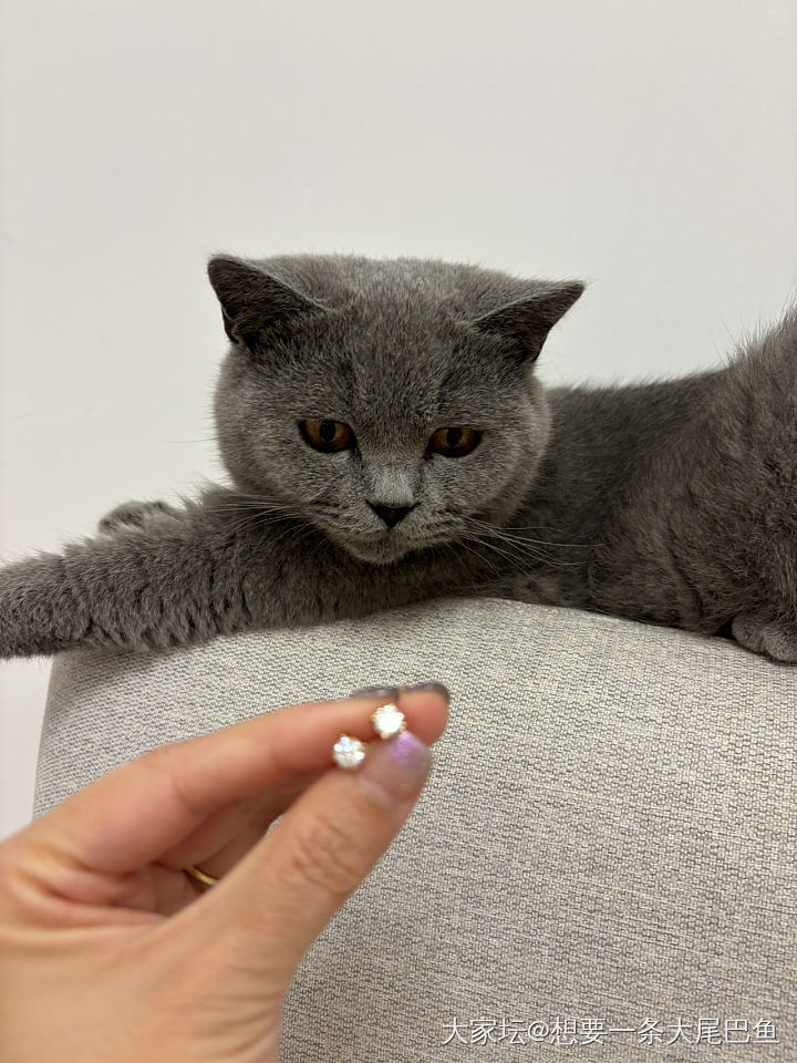 被娃刺激到了_钻石