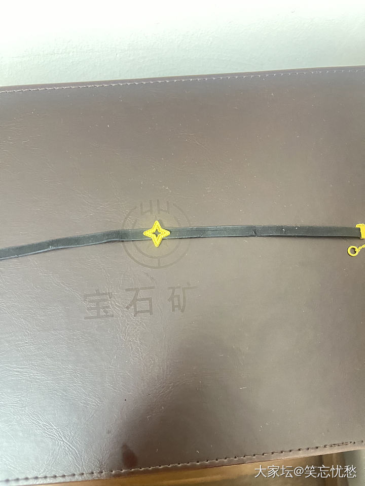 请教姐妹们，这个皮绳有办法换吗_金