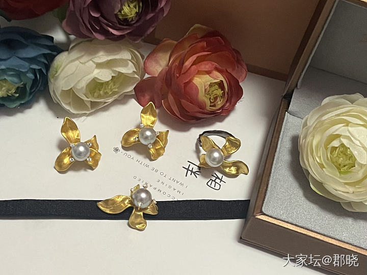 繁华与花兮之日常_珍珠