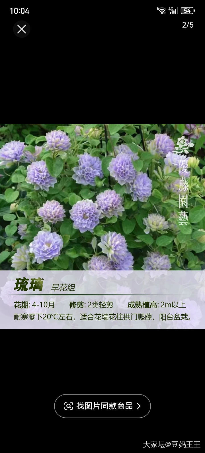 抱歉，该主题仅楼主自己可见_花