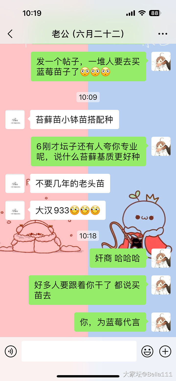 在露台种的蓝莓熟了_水果