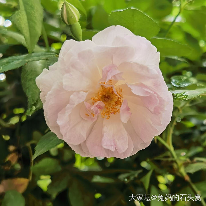 从种植中得到力量_植物