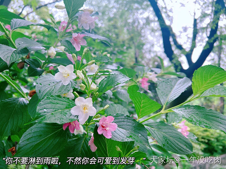 放假啦～节日快乐呀_花