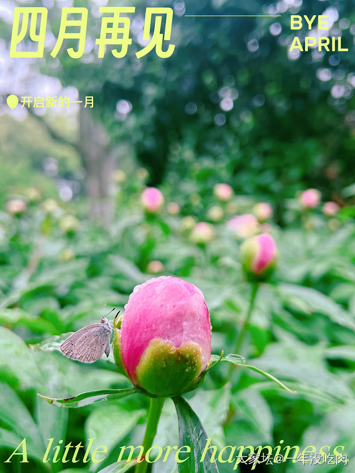 放假啦～节日快乐呀_花