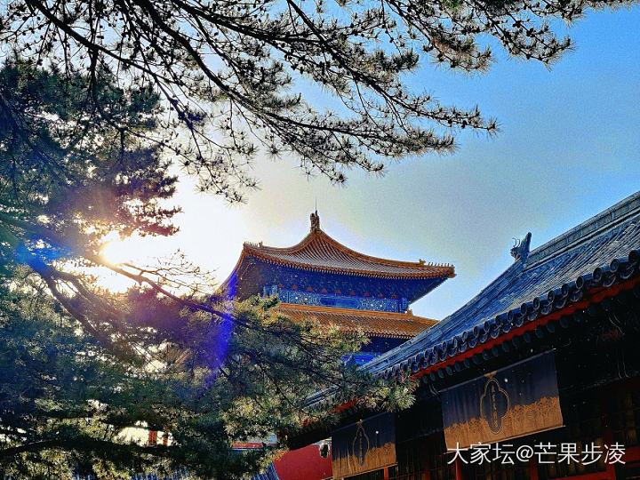 春日紫禁城，金瓦朱红墙_翡翠