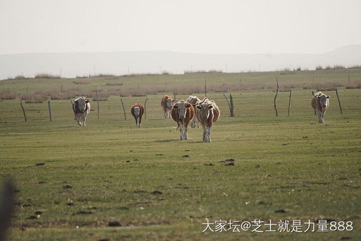 都是坐副驾没停车抓拍的 凑合看看哈哈_旅游内蒙古