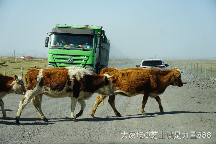 都是坐副驾没停车抓拍的 凑合看看哈哈_旅游内蒙古