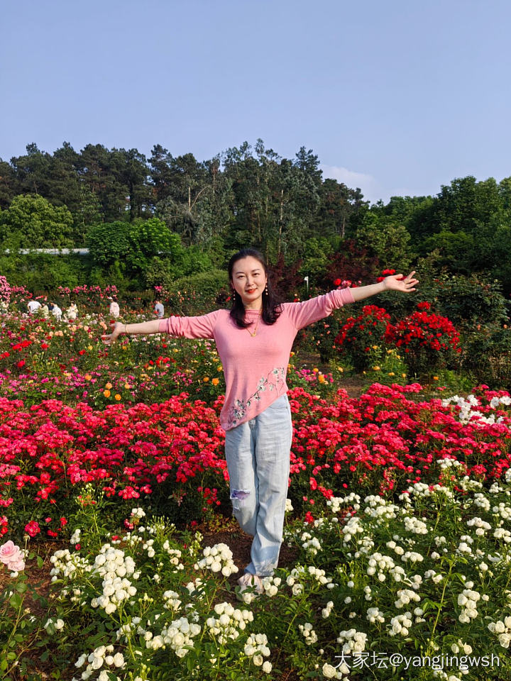 看花花_植物生活